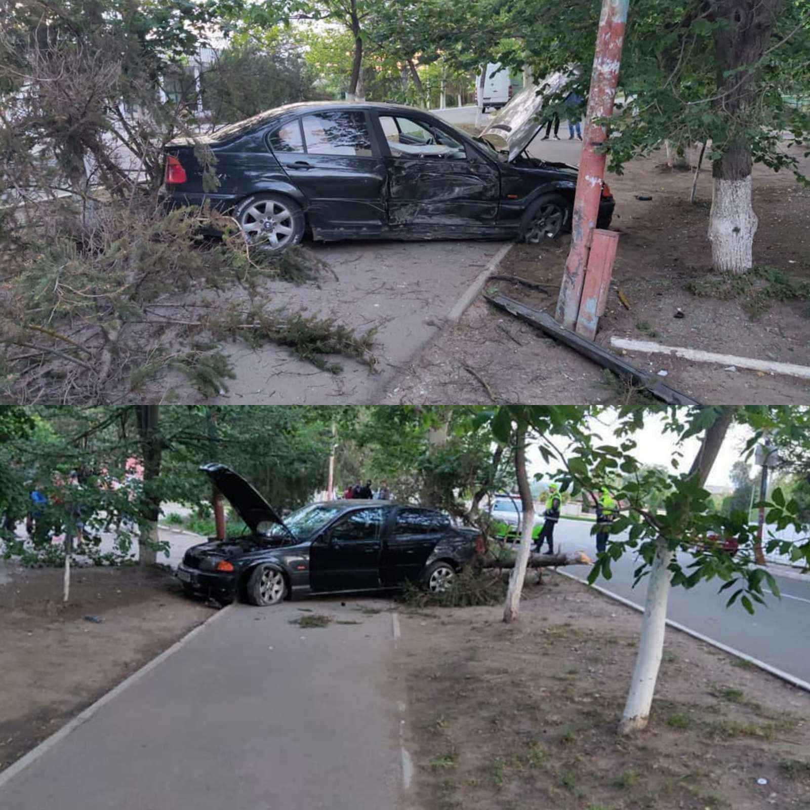 Черный БМВ снес дерево на Совхозе в Тирасполе