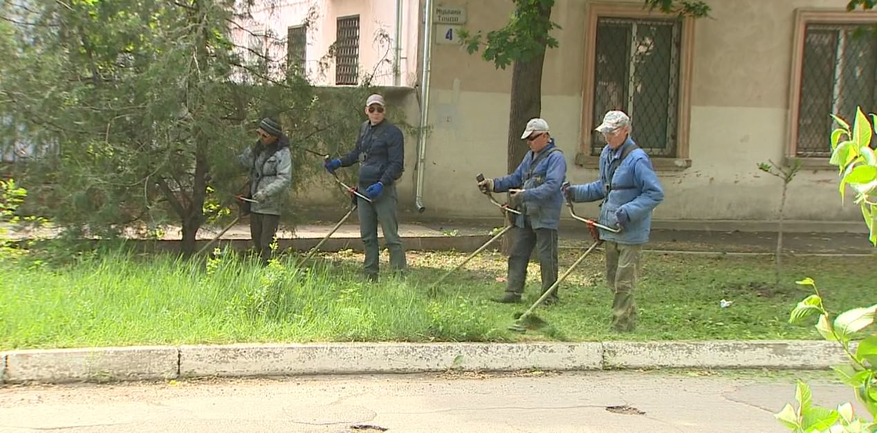 Начался сезонный покос травы