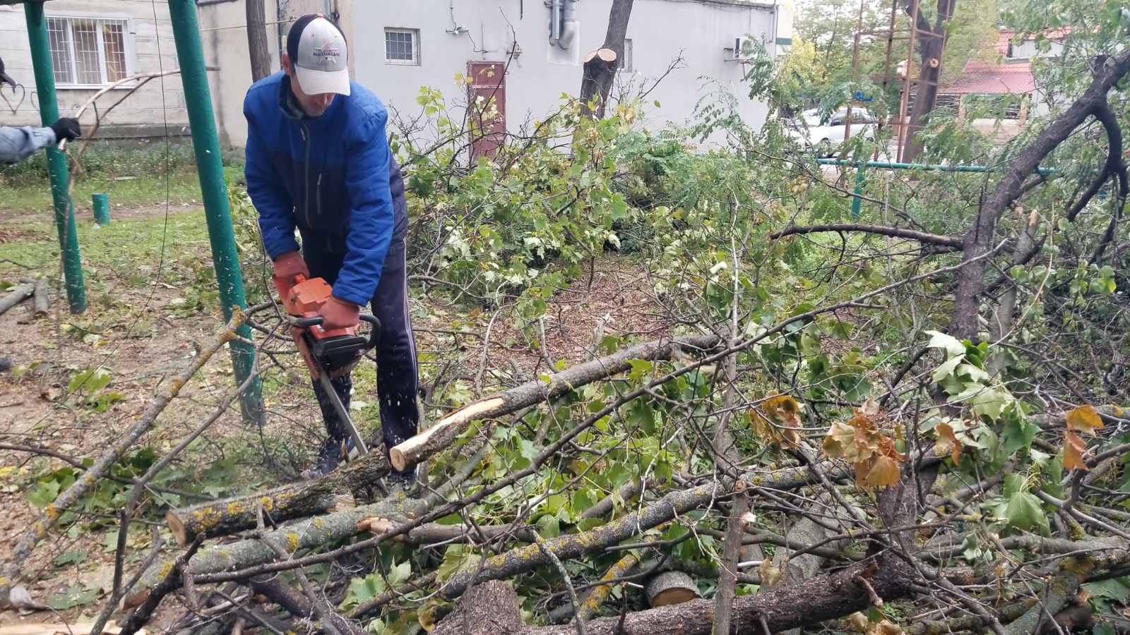 На Балке сегодня с самого утра пилят аварийные деревья