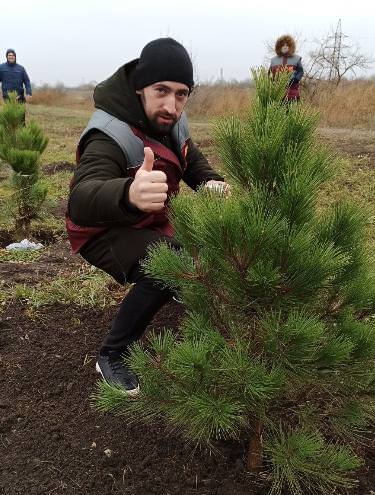 В Днестровске на выходных посадили маленькие сосны