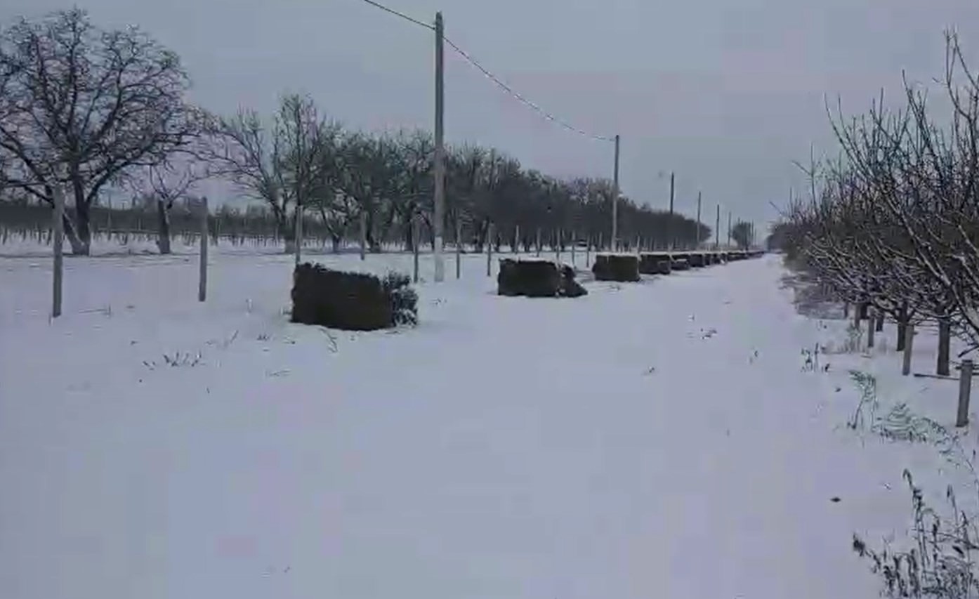 В Малаештах готовы уже даже к весенним заморозкам